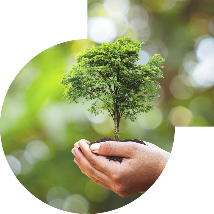 关怀人类、文化、环境与社会